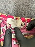 Ann Taylor LOFT Outlet 100% Polyester Pink Kimono Size L - photo 7