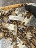 Assorted Brands 100% Polyester Brown 3/4 Sleeve Blouse Size EU (IT) 42 / US 6 - photo 7