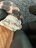Lovely Melody Brown Long Sleeve Turtleneck Size XL - photo 7