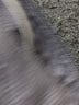 Limited Edition Black Jeans Size 6 - photo 8