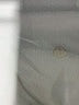 Lululemon Athletica Blue Active Pants Size 6 - photo 4