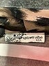 Uptown Vibe Animal Print Brown Short Sleeve Blouse Size 1X - photo 7