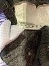 Unbranded Stripes Purple Swimsuit Top Size XL - photo 3