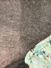 Vineyard Vines Teal Short Sleeve Blouse Size M - photo 8