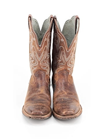 Ariat Boots (view 2)
