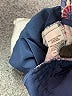 Ann Taylor LOFT Paisley Blue Shorts Size 6 - photo 4