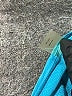 Talbots Teal Coat Size L - photo 4