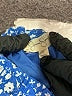 Jessica Simpson 100% Rayon Floral Blue Shorts Size 5 - photo 3