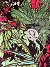 Lululemon Athletica Print Green Active Pants Size 2 - photo 4