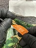 Lularoe Tropical Green Sweatpants Size S (kids) - photo 3