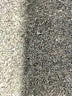 CAbi Ivory Jeans Size 6 - photo 8