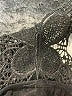 Unbranded Black Tank Top Size XS (estimated) - photo 7