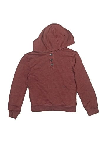 Splendid Pullover Hoodie (view 1)