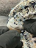 Tyler Boe 100% Polyester Tweed Gray 3/4 Sleeve Blouse Size XS - photo 8