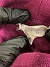 Unbranded Burgundy Turtleneck Sweater Size XS - photo 7