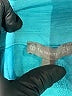 T by Talbots Teal Cardigan Size S - photo 7