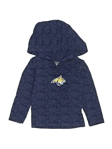 WES AND WILLY Pullover Hoodie (view 1)