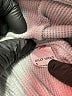 Gilly Hicks Gray Sweatshirt Size S - photo 8
