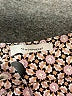 Atmosphere Print Gray Casual Pants Size 14 - photo 4