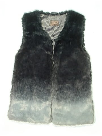 Zara Faux Fur Vest (view 1)