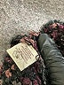 Willow & Clay Tweed Black Pullover Sweater Size S - photo 8