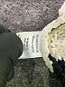 Olivaceous 100% Polyester Stripes Brown Pullover Sweater Size M - photo 8
