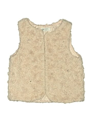H&M Faux Fur Vest (view 1)