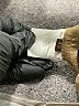 Bottega Veneta Gold Khakis Size EU (IT) 42 / US 6 - photo 12