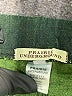 Prairie Underground Green Active Pants Size XS - photo 7