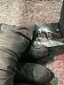 Cynthia Rowley Floral Black Dress Pants Size 2 - photo 8
