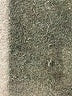 Unbranded Solid Blue Casual Pants Size XL (estimated) - photo 7