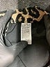 Banana Republic 100% Polyester Animal Print Gold Casual Pants Size M - photo 6