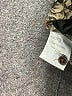 Georg Roth Paisley Brown Long Sleeve Blouse Size XS - photo 8