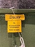 Daisy Solid Green Casual Dress Size XL - photo 7