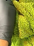 Dr. Seuss 100% Polyester Green Sweatshirt Size 7 - 9 - photo 5