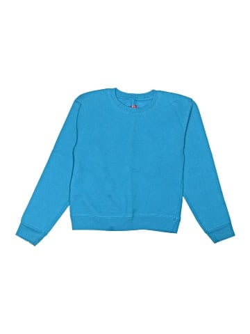 Hanes Pullover Sweater (view 1)