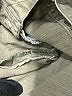 Unbranded Green Jacket Size S - photo 7