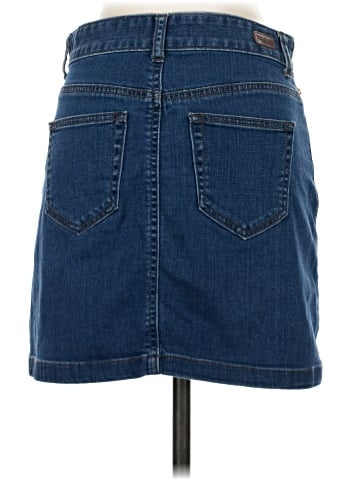 Enjean Denim Skirt (view 2)