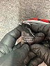 Chances R Hearts Red Active Pants Size 1X - photo 8