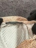 Adrianna Papell Tan 3/4 Sleeve Blouse Size L (estimated) - photo 7