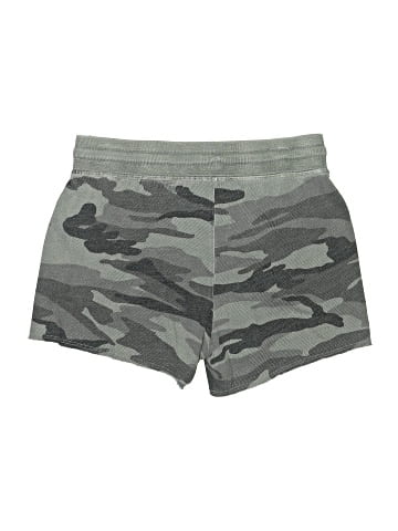 Splendid Shorts (view 2)
