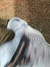 Unbranded Blue Pullover Sweater Size S - photo 7