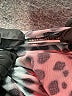 Assorted Brands Animal Print Gray Casual Dress Size EU 36 / US 6 - photo 8