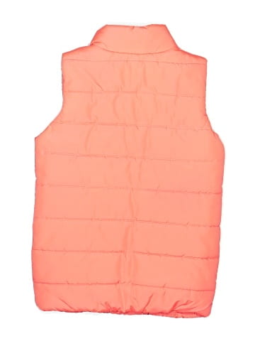 Puma Vest (view 2)