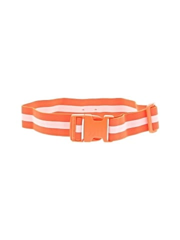 VETCHY Belt (view 1)