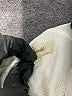 Madewell Ivory Pullover Hoodie Size XXS - photo 7
