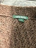 Wild Fable Brown Pullover Sweater Size XL - photo 7