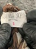 Sienna Sky 100% Polyester Brown Casual Pants Size S - photo 7