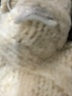 Zara Ivory Turtleneck Sweater Size M - photo 8