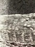 Bershka Gray Cardigan Size Med - Lg - photo 8